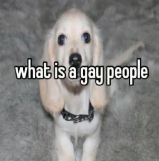 Sticker homophobic dog - 10