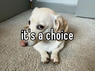 Sticker homophobic dog - 11