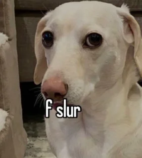 Sticker homophobic dog - 2