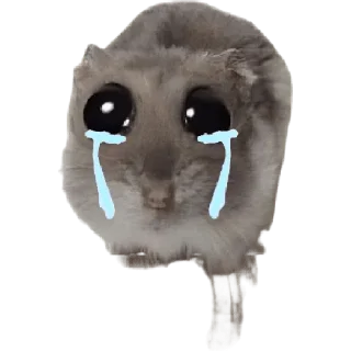 Стикер homyachkimalysha - 0