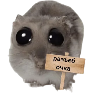 Стикер homyachkimalysha - 3