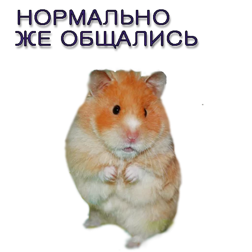 Sticker homyachok_homyachok_2 - 1