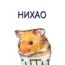 Sticker Хомячья жизнь 2 (t.me/forcateat) - 0