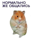 Sticker Хомячья жизнь 2 (t.me/forcateat) - 11