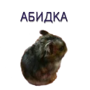 Sticker Хомячья жизнь 2 (t.me/forcateat) - 2