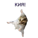 Sticker Хомячья жизнь 2 (t.me/forcateat) - 3