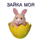 Sticker Хомячья жизнь 2 (t.me/forcateat) - 1