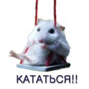 Sticker Хомячья жизнь 2 (t.me/forcateat) - 4