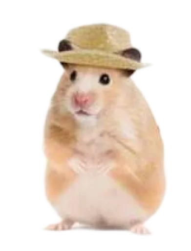 Хомяк в шляпе @SozdaiStickeriBot - 