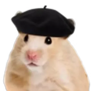 Sticker Хомяк в шляпе @SozdaiStickeriBot - 8