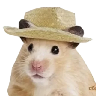 Sticker Хомяк в шляпе @SozdaiStickeriBot - 4