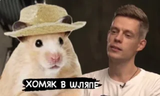 Sticker Хомяк в шляпе @SozdaiStickeriBot - 1