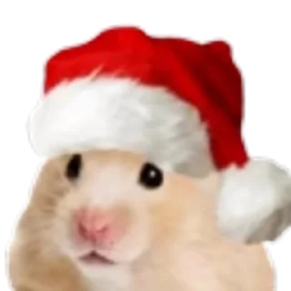 Sticker Хомяк в шляпе @SozdaiStickeriBot - 5