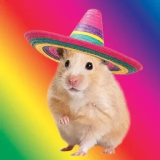 Sticker Хомяк в шляпе @SozdaiStickeriBot - 6