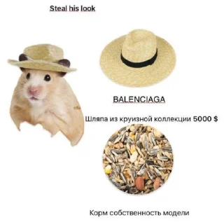 Sticker Хомяк в шляпе @SozdaiStickeriBot - 9