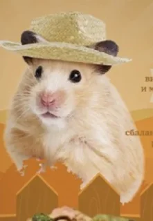 Sticker Хомяк в шляпе @SozdaiStickeriBot - 7