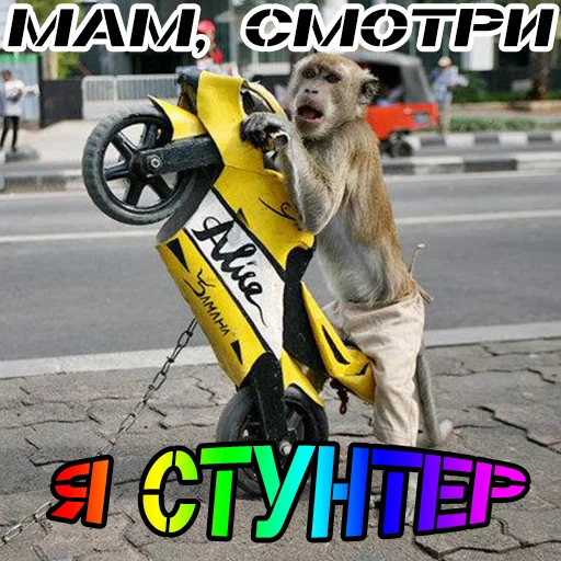 Стикер hondanon - 1