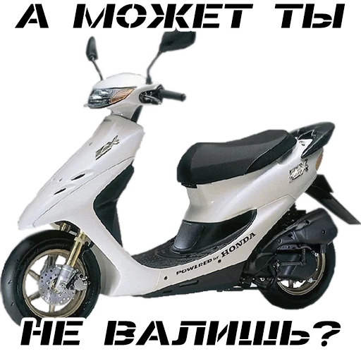 Sticker hondanon - 1