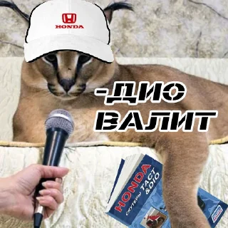 Стикер _hondanon_ - 6