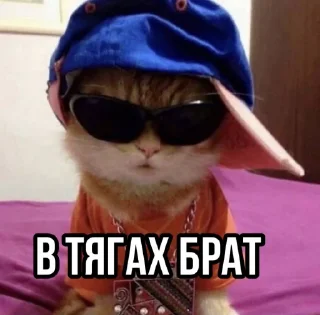 Стикер hoodrich - 0