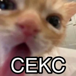 Стикер hoodrich - 10