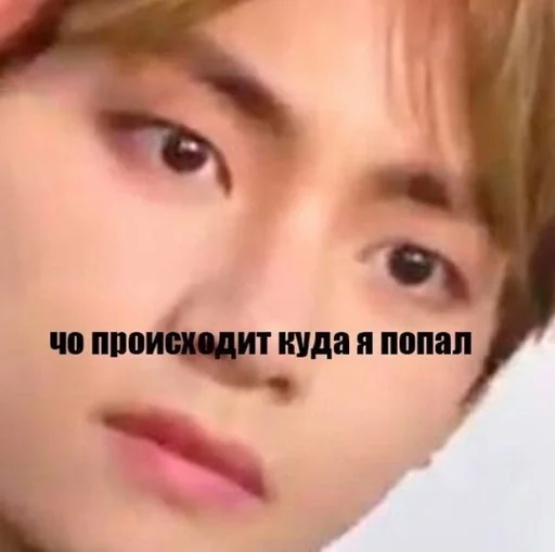 человеческое лицо СМС бровь