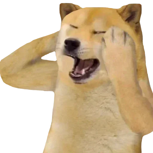 Sticker hooyakers - 1