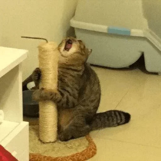 Sticker hooyakers - 1