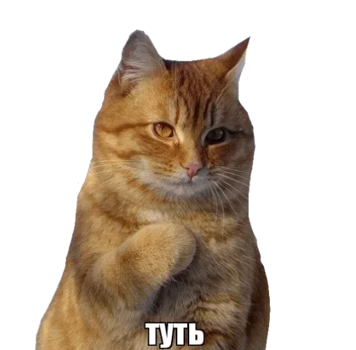 Стикер hooyakers - 1