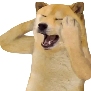 Sticker Хуикеры - 11