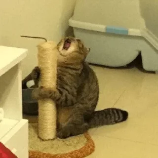 Sticker Хуикеры - 9