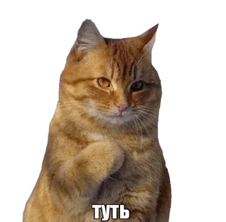 Sticker Хуикеры - 8