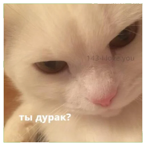 Стикер oxoxo - 11