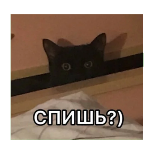 Стикер oxoxo - 7