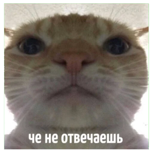 Стикер oxoxo - 6