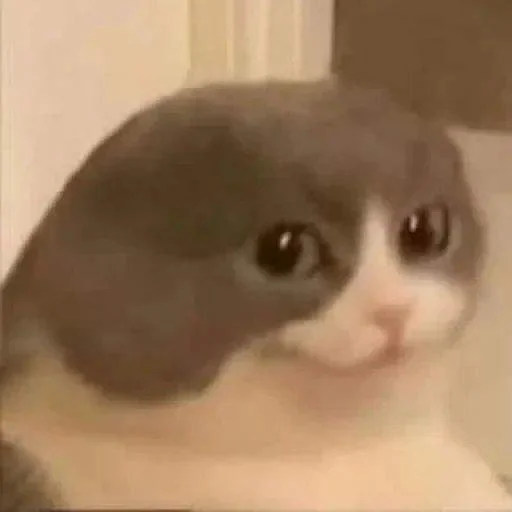 من حور🇷🇺 لـ لايت - 