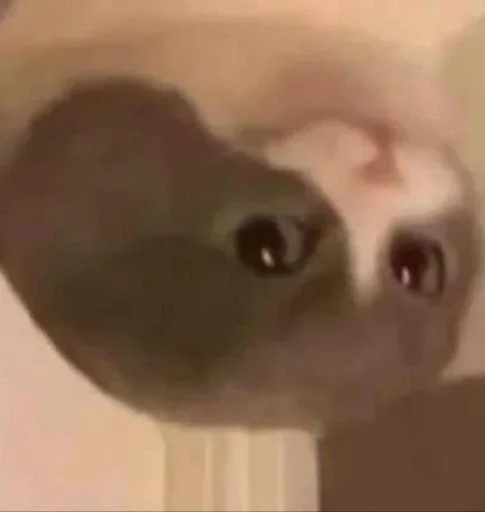 Sticker horiiih_by_SticZ_Bot - 1