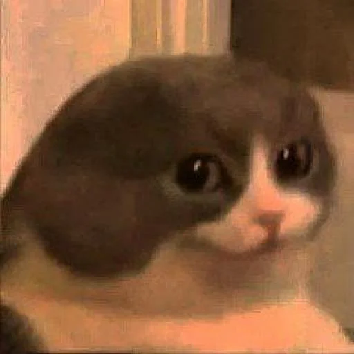 Sticker horiiih_by_SticZ_Bot - 1