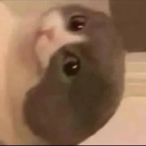 Sticker horiiih_by_SticZ_Bot - 1