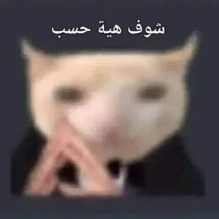 Sticker من حور🇷🇺 لـ لايت - 6