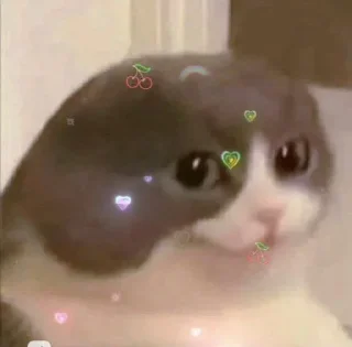 Sticker من حور🇷🇺 لـ لايت - 1