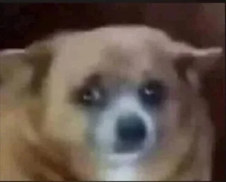 Sticker من حور🇷🇺 لـ لايت - 11