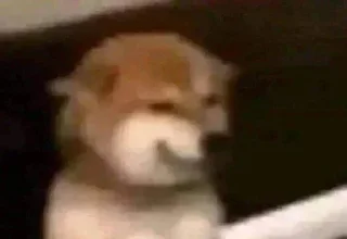 Sticker من حور🇷🇺 لـ لايت - 8