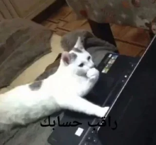 Sticker من حور🇷🇺 لـ لايت - 0