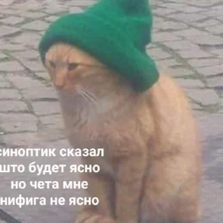 Sticker хорня - 11