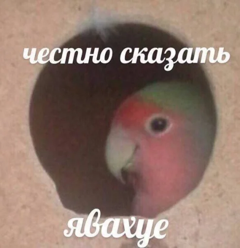 Стикер hornigirls - 1