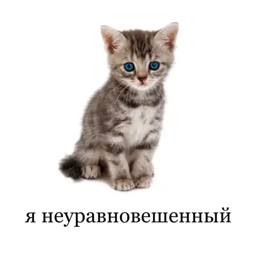 Стикер hornueblanka - 1