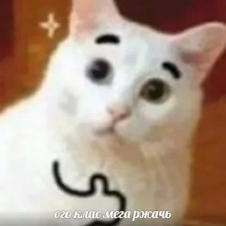 Sticker kucha @horqa - 11