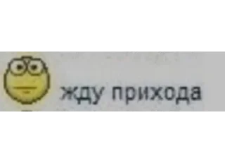 Sticker horsegirl daily - 8