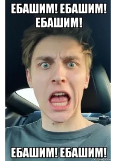 Sticker horsegirl daily - 9